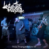 Noise Propaganda Live
