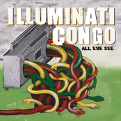 Get My Bruce Lee On by Illuminati Congo