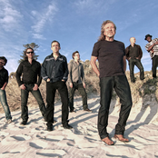 robert plant & the sensational space shifters