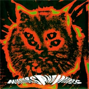 Colorized Audio Transmission