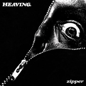 Zipper - Single