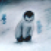 civic, radar, level, rotor, kayak, madam, and refe