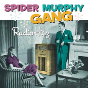 Spider Murphy Gang: Radio Hitz