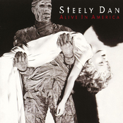 Book Of Liars by Steely Dan