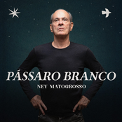 Pássaro Branco