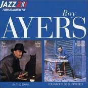 Programmed For Love by Roy Ayers