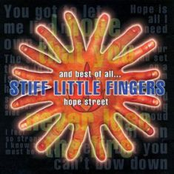 All I Need by Stiff Little Fingers
