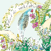 behind the nameless tales