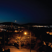 Those Clever Foxes: Quincy Avenue