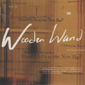 Outsider Blues by Wooden Wand