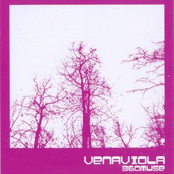 venaviola