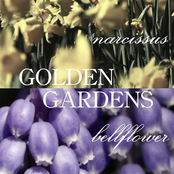 Golden Gardens: Narcissus and Bellflower