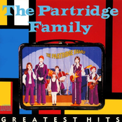 Looking Through The Eyes Of Love by The Partridge Family