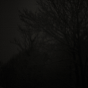 Arcus