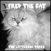 The Litterbox Tapes