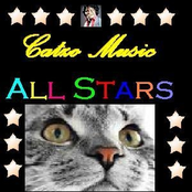 Catzo Music All Stars