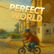 Perfect World