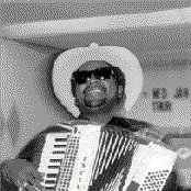 nathan & the zydeco cha chas