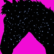 Horsing Around (Bojack Horseman)