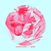 Pleasure Curses: Burn EP