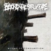 Worms of Consumption