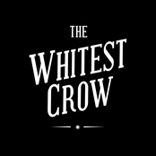 the whitest crow