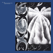 Sky City: Even in the Heart of Heaven, Angels Can Still Feel Fear