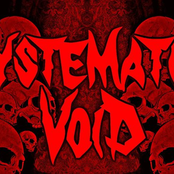 systematic void