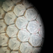 Quarter-life Journal