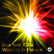 Walking In The Sun
