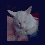 tarde chuvosa