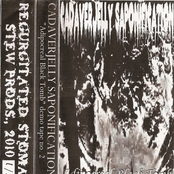 Apidocreal Black Tomb