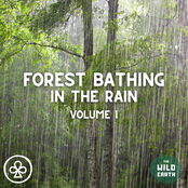 Forest Bathing in the Rain, Vol. 1