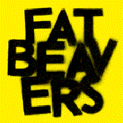 fat beavers