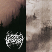 Woods of Desolation / Drohtnung (Split)