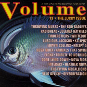 Volume 13 - The Lucky Issue