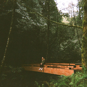 I Lost My Friends in the Spring