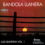 Bandola Llanera Vol.1