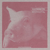 electronic pig