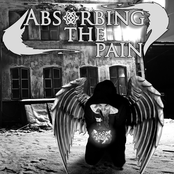 Absorbing the Pain