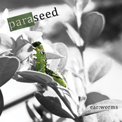Conflict by Paraseed