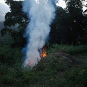 they don't sleep on the beach anymore