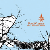 I Will Burn Your Winter