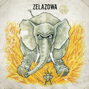 Elephants on a Mousehunt