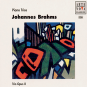 Brahms: Piano Trios 2-CD-BOX