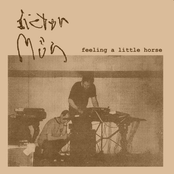 Feeling A Little Horse