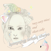 Very Very Nice and Short Cake