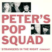 Strangers In The Night (Tonight)