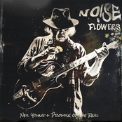 Noise and Flowers