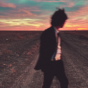 Golden Summer Nights